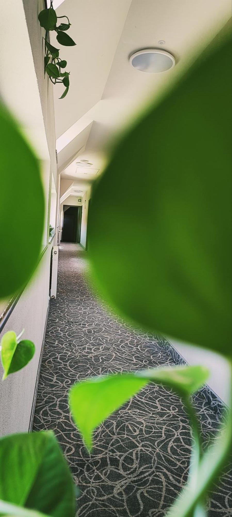 Pensiunea Luceafarul Sibiu Exteriör bild